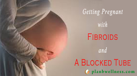 Getting Pregnant With Blocked Tubes 18