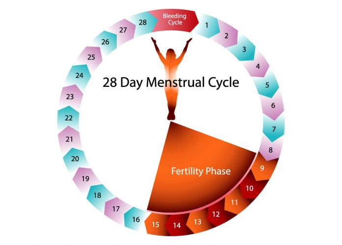 GUIDE FOR A HEALTHY MENSTRUAL CYCLE – PART 1