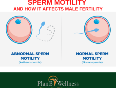 LOW SPERM MOTILITY AND HOW IT AFFECTS MALE FERTILITY