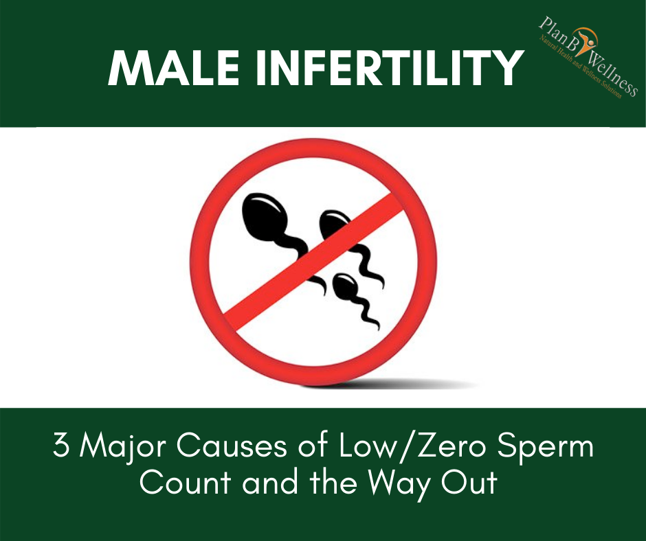 Male Infertility: 3 Major Causes of Low/Zero Sperm Count and the Way Out