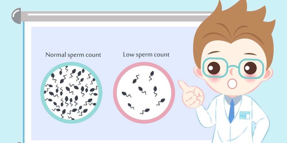 Low-sperm-Count