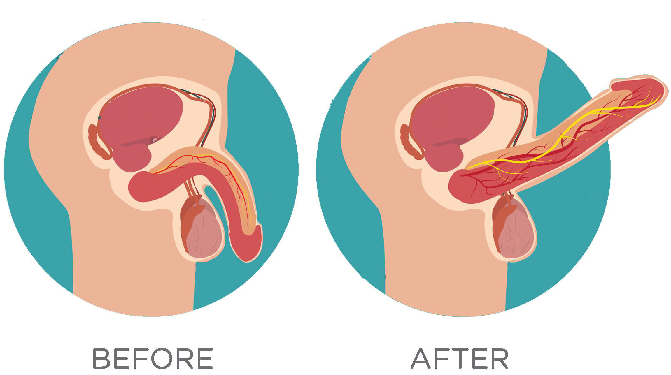 effect of opti-man herbal formula