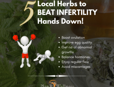 5 Local Herbs to Beat Infertility Hands Down