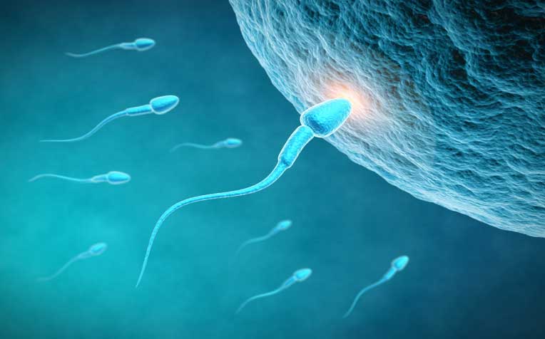 causes of oligospermia - low sperm count