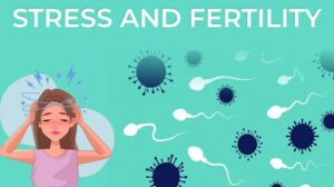 Stress Management and Lifestyle Changes for Fertility