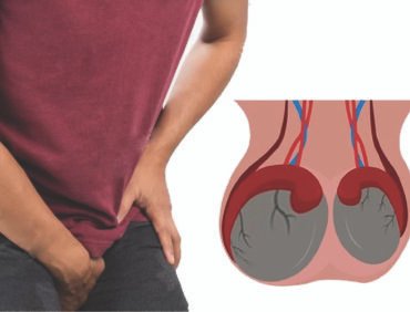 Testicular Atrophy: Key Facts and a Fertility Breakthrough Without Drugs or Surgery